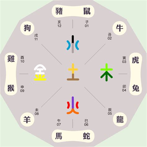 鹿 五行|鹿的五行属性是什么